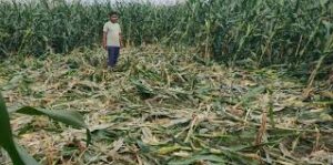 Human-Wildlife Conflict Causes Growing Farm Losses Across Agricultural&hellip;