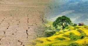 Climate-Resilient Crop Development Gains Momentum as Global Food&hellip;
