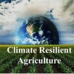 Climate Resilience Takes Center Stage in Global Agriculture Policy