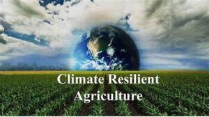 Climate Resilience Takes Center Stage in Global Agriculture&hellip;