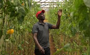 $163 Million Program Announced to Boost Food Security and Support Smallholder Farmers