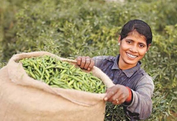 Published:https://x.com/Fasal_Kranti/status/2076633464724750840?s=20