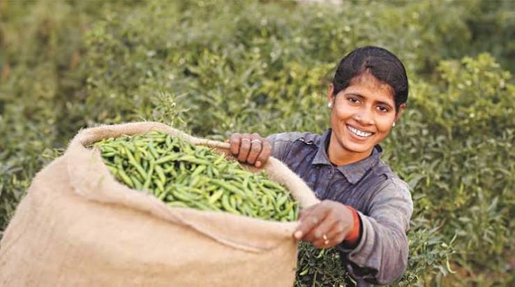 Published:https://x.com/Fasal_Kranti/status/2076633464724750840?s=20