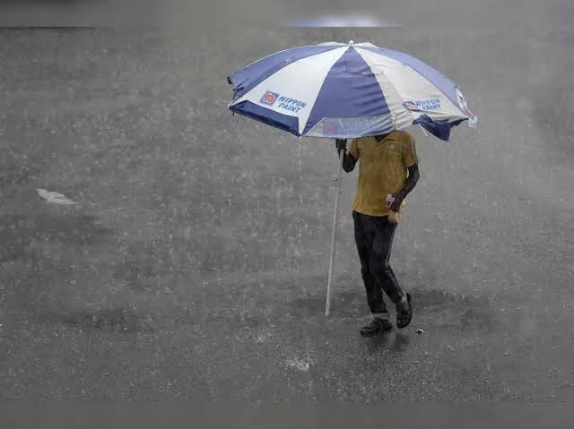 India’s Erratic Monsoon Raises Concerns for Crop Production, Food Security