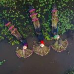 OECD-FAO Outlook Projects Strong Growth in Global Aquaculture Through 2035