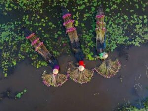 OECD-FAO Outlook Projects Strong Growth in Global Aquaculture&hellip;