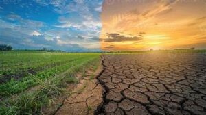 Drought and Weather Risks Continue to Shape Global&hellip;