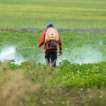 EU Farm Lobby Faces Scrutiny Over Alleged Influence on Pesticide Policy