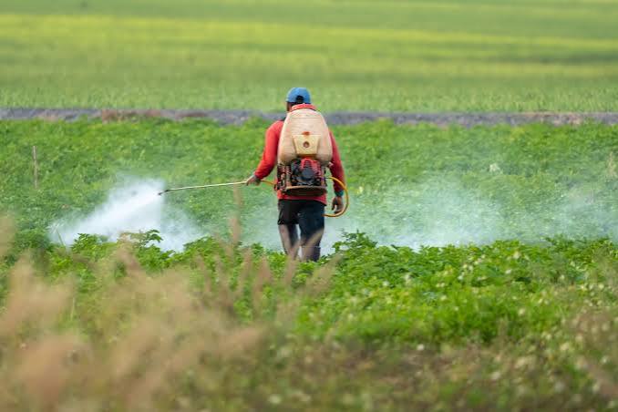 EU Farm Lobby Faces Scrutiny Over Alleged Influence on Pesticide Policy