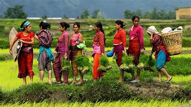 Nepal’s Food Import Dependence Continues to Rise Amid&hellip;