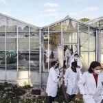 Sustainable Agriculture and Biological Solutions Gain Momentum Worldwide