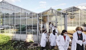 Sustainable Agriculture and Biological Solutions Gain Momentum Worldwide