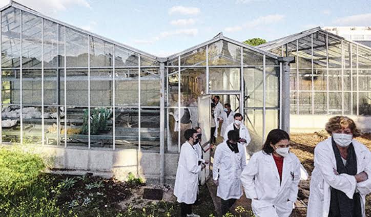 Sustainable Agriculture and Biological Solutions Gain Momentum Worldwide