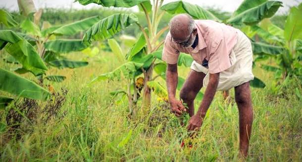 UK Farmers Embrace Regenerative Agriculture as Climate Extremes…