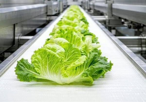 Biotalys Moves Closer to U.S. Market as California…