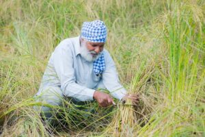 World Bank Reaffirms Commitment to Global Food Security&hellip;