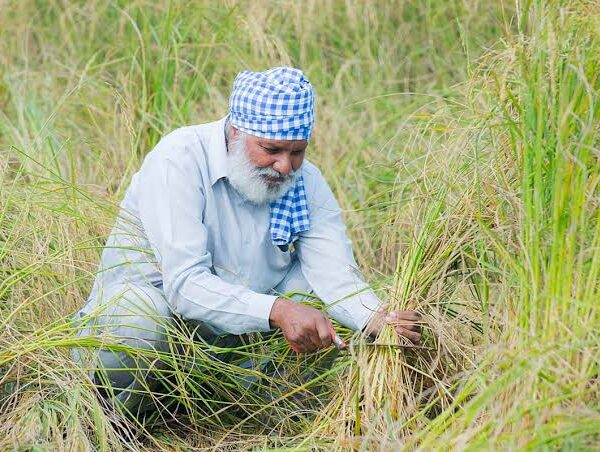 World Bank Reaffirms Commitment to Global Food Security…