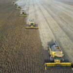 ‘Super’ El Niño Raises Global Food Price Concerns as Economists Warn of Inflation Through 2028