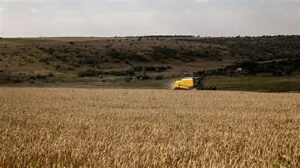 Black Sea Tensions Drive Global Wheat Prices Higher&hellip;