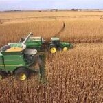 South Africa Set for Record Corn Exports as Harvest Reaches Historic High