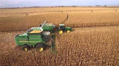 South Africa Set for Record Corn Exports as&hellip;