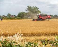 Europe Faces €2 Billion Crop Losses After Devastating…