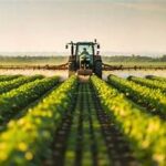 USDA Updates Global Crop Outlook, Highlights Improved Production Prospects