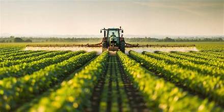 USDA Updates Global Crop Outlook, Highlights Improved Production Prospects