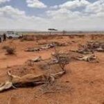 Climate Change Intensifies Drought Across Europe, Threatening Crop Production