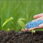 Global Fertilizer Markets Remain Under Pressure Despite Recent Price Easing