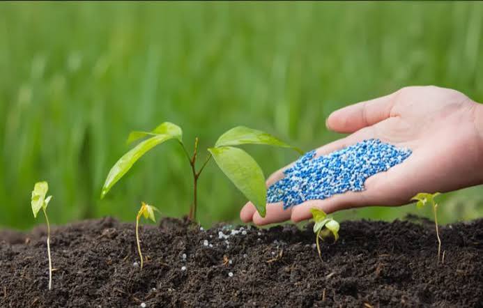 Global Fertilizer Markets Remain Under Pressure Despite Recent…
