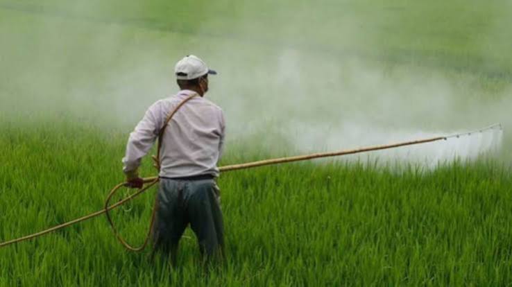 India’s National Investment Policy for Urea-2026 Draws Global Attention for Boosting Fertilizer Self-Reliance