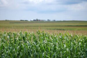 FAIRR Report Questions Corporate Regenerative Agriculture Claims