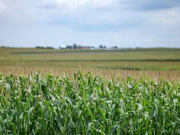 FAIRR Report Questions Corporate Regenerative Agriculture Claims