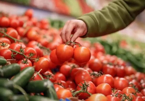 Morocco Strengthens Position as Spain’s Largest Fresh Produce&hellip;