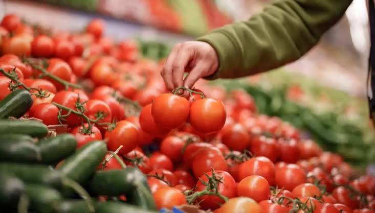 Morocco Strengthens Position as Spain’s Largest Fresh Produce…