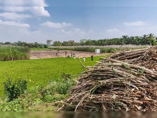 Climate Change Continues to Threaten Global Agriculture