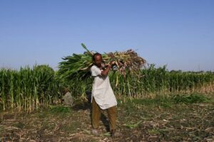 Iran Conflict Continues to Pressure Global Fertilizer Markets,&hellip;