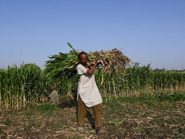 Iran Conflict Continues to Pressure Global Fertilizer Markets,&hellip;