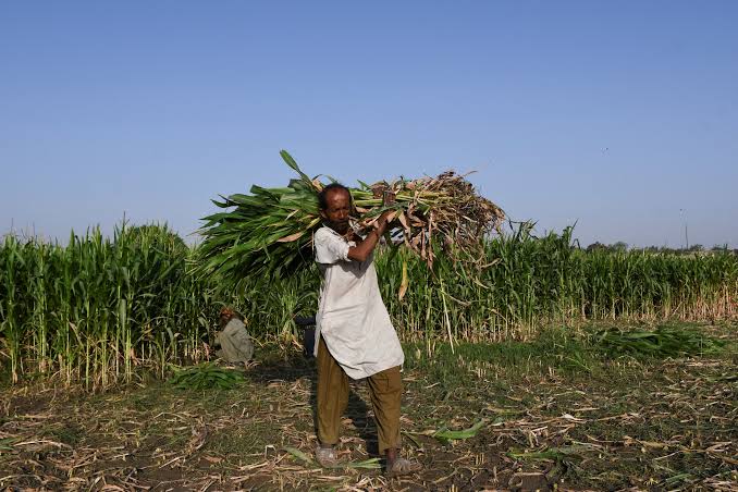 Iran Conflict Continues to Pressure Global Fertilizer Markets,…