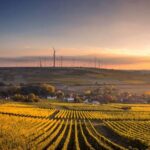 Biological Agriculture and Climate-Smart Farming Gain Momentum Worldwide