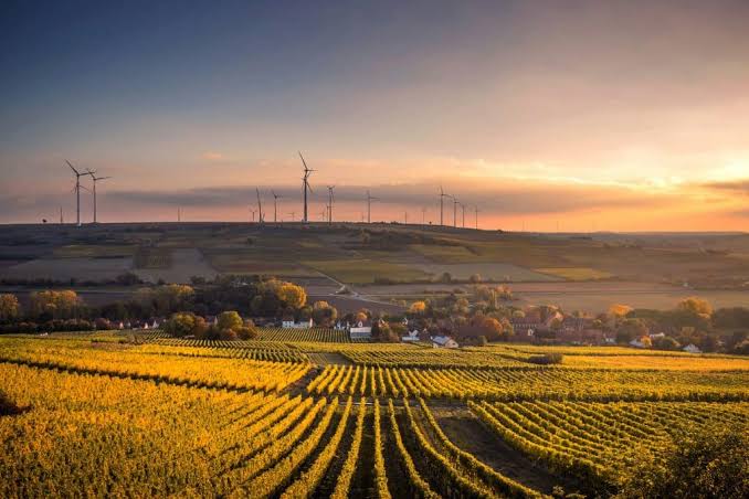 Biological Agriculture and Climate-Smart Farming Gain Momentum Worldwide