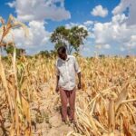 Food Security Remains a Global Challenge Amid Rising Climate and Economic Pressures