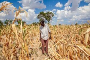 Food Security Remains a Global Challenge Amid Rising&hellip;