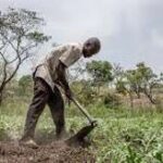 FAO and World Food Programme Warn of Worsening Global Hunger Hotspots