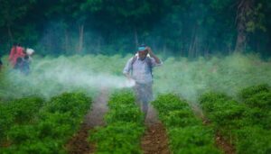 Bangladesh Renews Call to Phase Out Hazardous Pesticides&hellip;