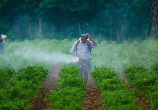 Bangladesh Renews Call to Phase Out Hazardous Pesticides…