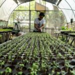 World Bank Highlights Need for Greater Investment to Strengthen Global Food Security
