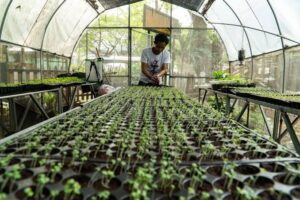 World Bank Highlights Need for Greater Investment to&hellip;