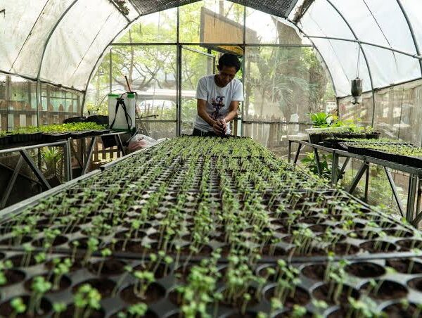 World Bank Highlights Need for Greater Investment to&hellip;